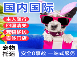 博乐阿拉山口机场邮寄国际宠物托运 【国